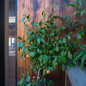 Homestay 美築八坂, Kyoto