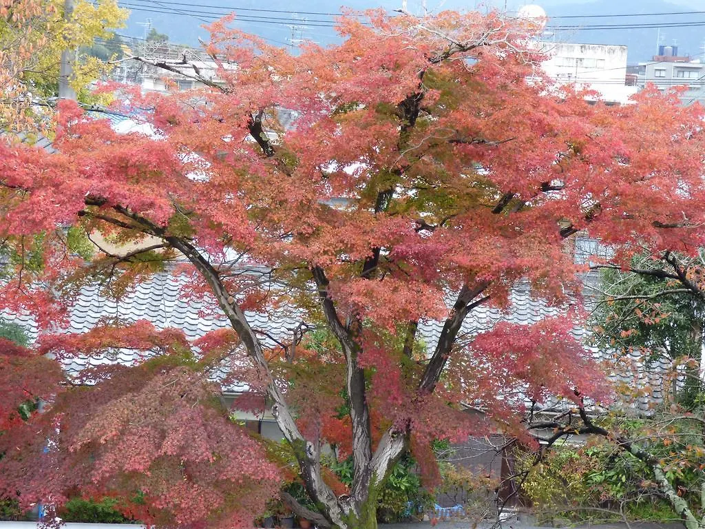 Apartment Saizen Matsumuro Stay Kyoto
