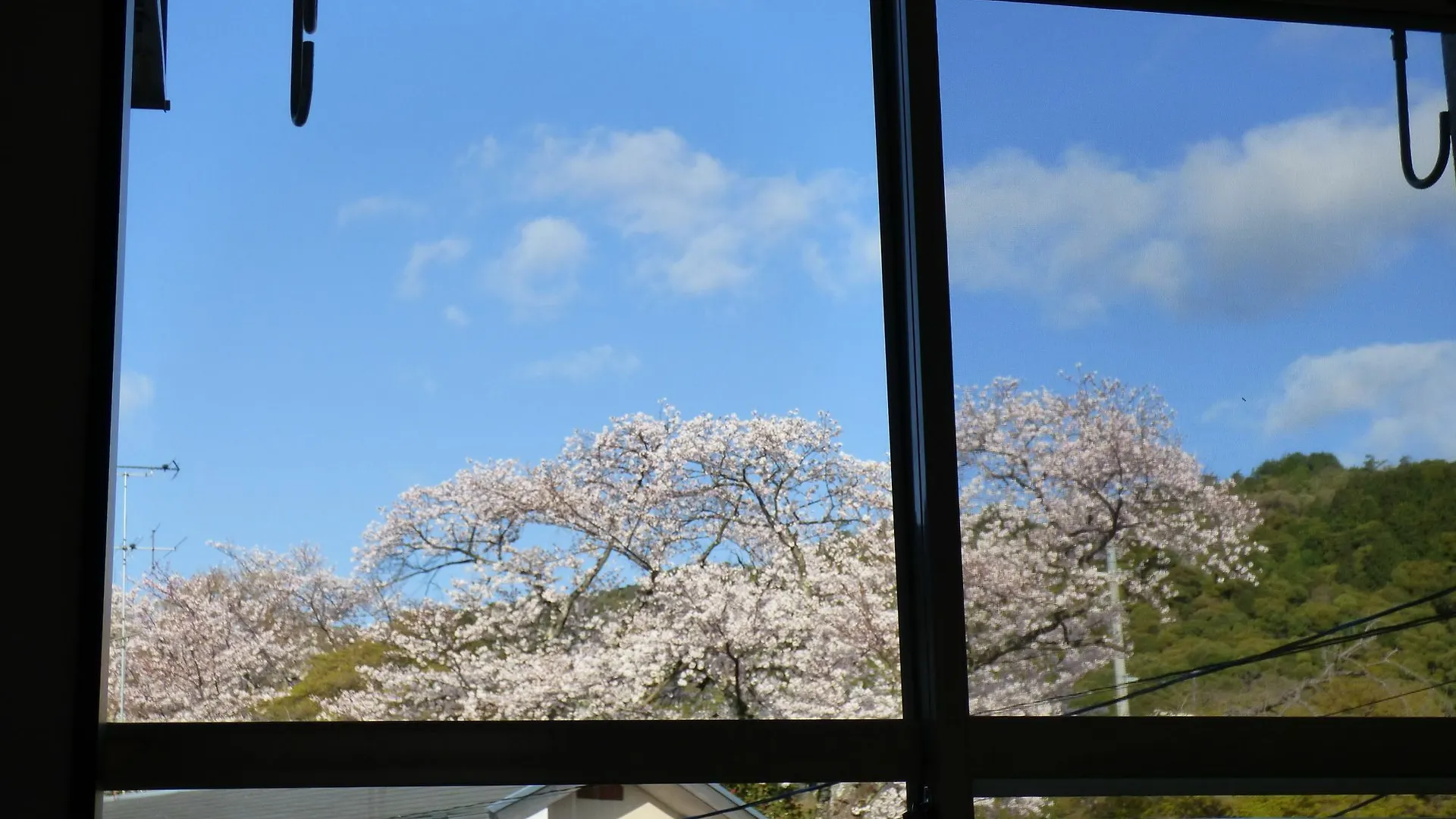 Apartment Saizen Matsumuro Stay Kyoto