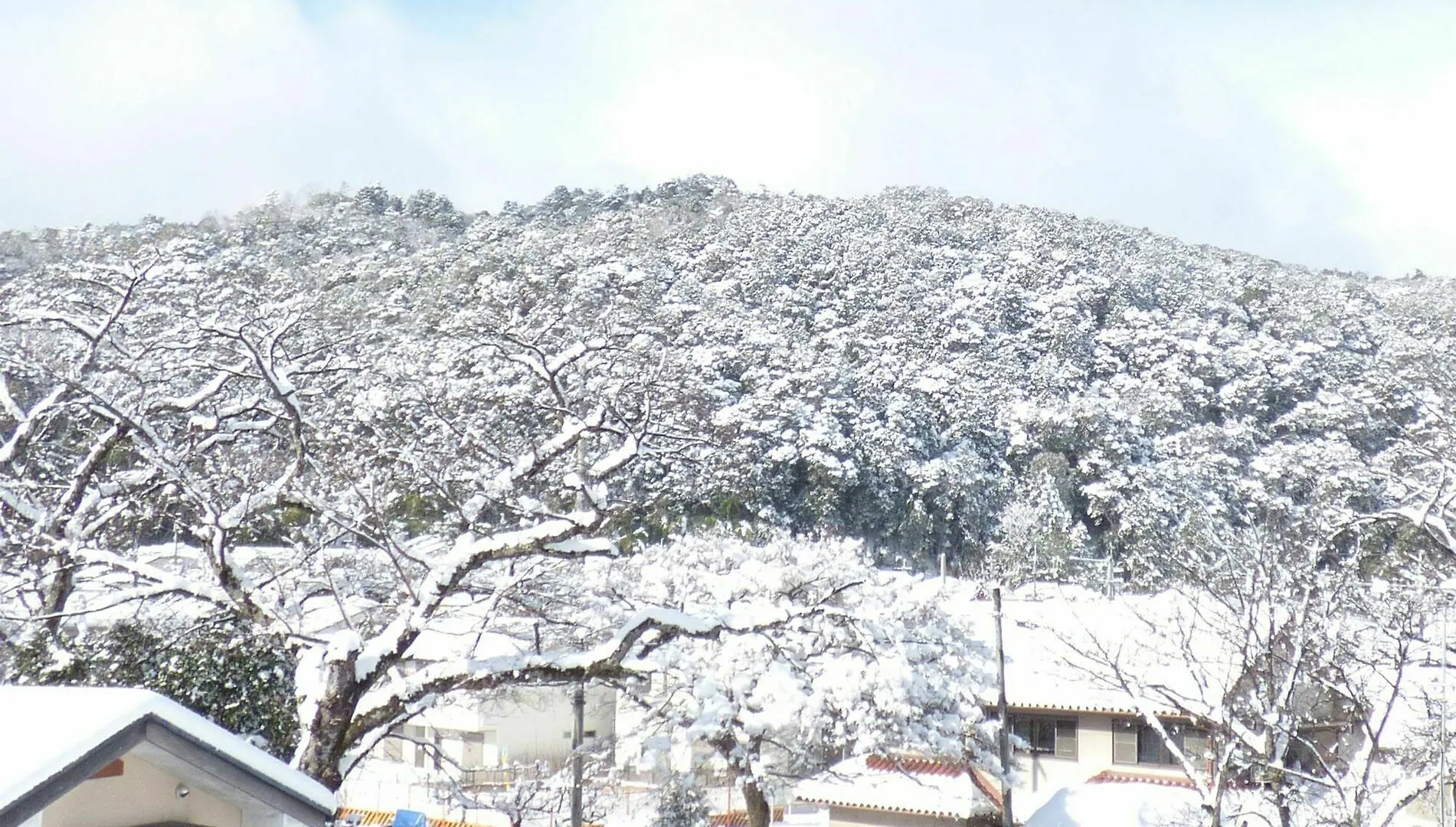 Saizen Matsumuro Stay Kyoto 0*,