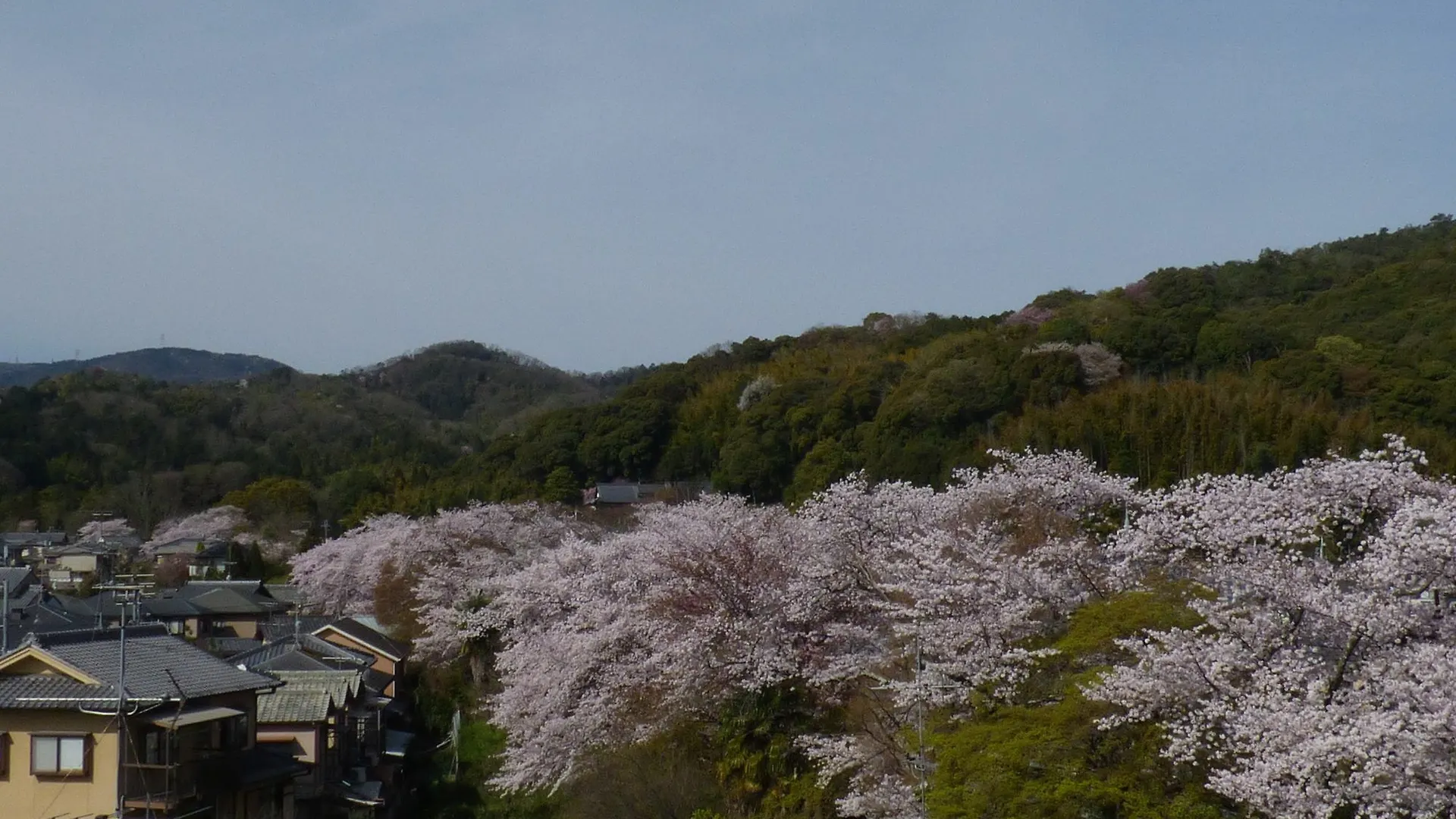 Saizen Matsumuro Stay Kyoto 0*,  Japan
